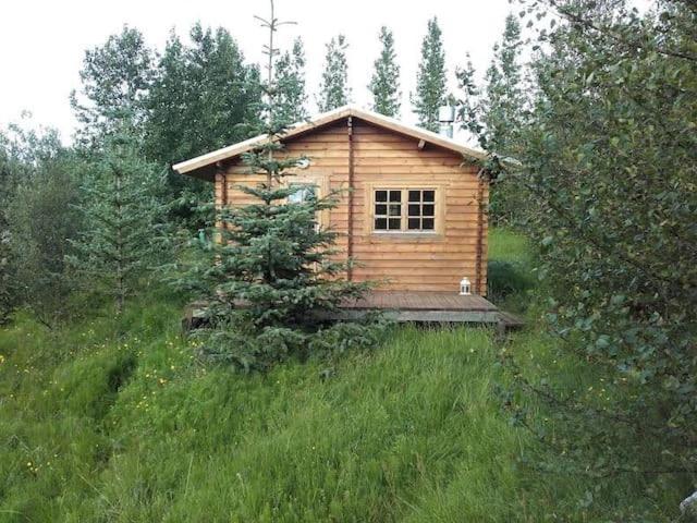 Arngrimslundur Log Cabin - Cabin 3 Fludir Buitenkant foto